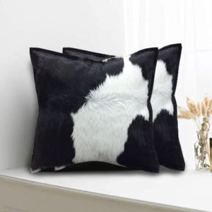 Cabrito negro con blanco