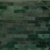 Coli green - Image 2