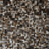 Fenton atigrado - Image 2