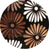 Girasol