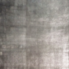 Tortuga plata - Image 2