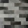 Coli - Image 2