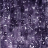 Coli AW morado - Image 2